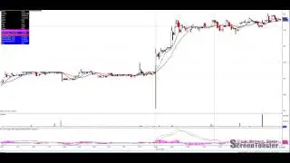Trading Summary
