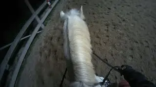Cours de dressage du 20.11.25