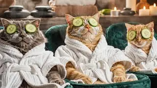 Уютный воскресный спа-день кошачьего семейства! | Моменты отдыха с мамой, папой и котёнком 💕