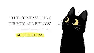 Trust Your Instinct | Guided 10-Min Meditation with Hector the Cat | Nature-Based Intuition