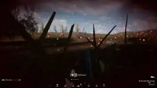 Squad highlights June 2024
