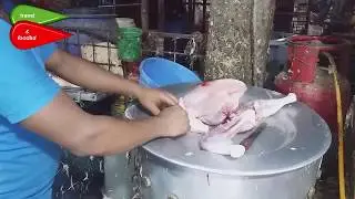 CHICKEN CUTTING &  PROCESSING  BADDA KITCHEN MARKET DHAKA