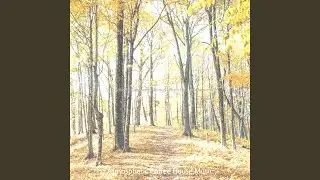 Background for Lockdown