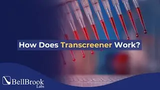 How Do Transcreener HTS Biochemical Assays Work?