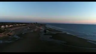 Drone  Close Encounter With Seagul