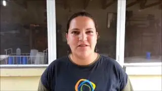 Couro de Peixe: a nova onda é curtir!