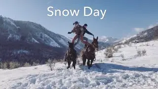 Snow Day On The Mules