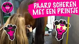 Paard scheren met een printje | WesternWeetjes