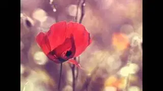 喜歡 - Mida