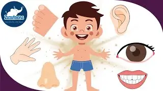 Parts of the Body for Kids | Body Parts Name in English | Fun Learning Video @CoComelon #kids 