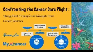 Confronting the Cancer Care Plight: Using First Principles to Navigate Your Cancer Journey