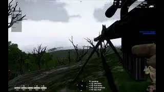 Early morning attack!!!  