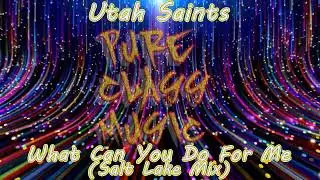 Utah Saints - What Can You Do For Me  (Salt Lake Mix)
