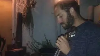 Israeli musicians performing Cretan music