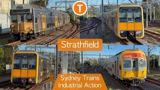 Transport for Sydney Vlog 500: Strathfield Part 5 + Sydney Trains Industrial Action