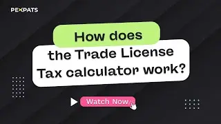 Free Online Czech Trade License Tax Payment Calculator