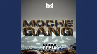 Moche Gang