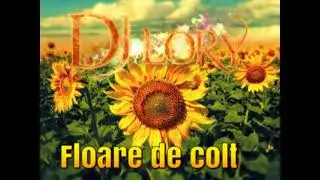 DJ LORY  Floare de colt