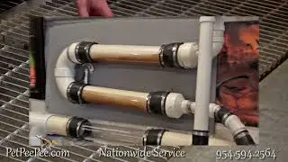 Watch how Urine Vomit & Diarrhea wash out from Area Carpet ASMR