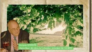 30 ans du bois-énergie en Normandie