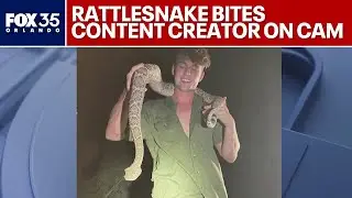 Florida wildlife enthusiast, content creator David Humphlett recovers after rattlesnake bite