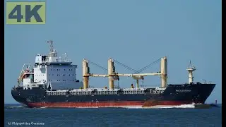 PATAGONMAN - Shipspotting Germany 🇩🇪 IMO 9521851 - River Elbe near City Otterndorf - 4K VIDEO