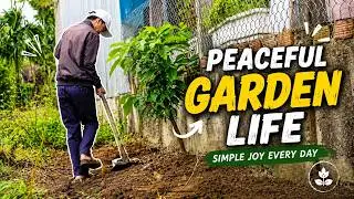 Cleaning an Abandoned Land and Turning It into a Vegetable Garden