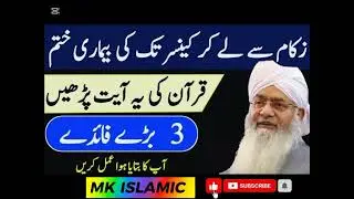 Mulana Peer Zulpeqar Ahmad Naqashbande Saheb | Quran Ayat