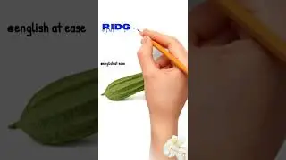 Ridge gourd Bangla meaning|Ridge gourd er Bangla ki |daily use english words in Bangla|#viral