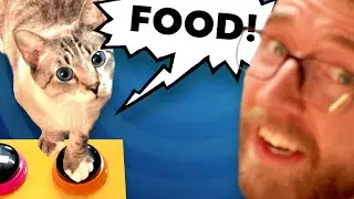 I teach my cats how to talk