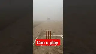 playing cricket in fog #foggy #fog #cricket #shortsvideo #cricketshorts