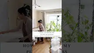How I Started My Plant Business 🫶  #plantshop  #houseplants #smallbusinessowners