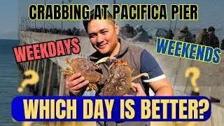 Which Day is Better for Crabbing? Pacifica Pier Friday vs Saturday!