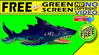 free green screen,shark attack green screen,shark jaw green screen,Shark jaw attack Green ScreenFree