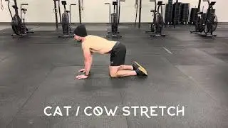 Cat Cow Stretch Movement Demo