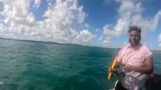 Island Echoes & Undersea Flows Lobster🦞 Octopus, fishing 🐠 Christmas is saved