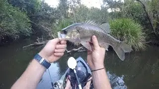 Alber River Bass Fishing w/ Surface Cicadas #Kayak