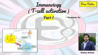 T cell activation || Part-1 || bsc msc csir gate || Free PDF notes || by VEX