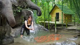 Build the Most Beautiful Floating House - Cook With My Pet - New Life | New Wild Land / Off Grid