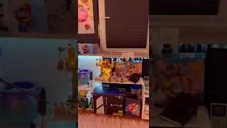 #twitchstreamer #setupgamer #gamer #nintendo #playstation #anime #japan #kawaii #sailormoon