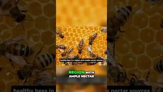 Buzzing Profits 🐝: Is Beekeeping a Goldmine? 💰