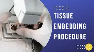 Histology Embedding process | Embedding technique (Histology)