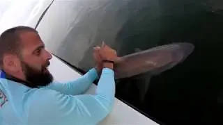 Capt John Hand: Best Fishing Guide in Everglades National Park
