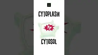 Cytoplasm vs Cytosol: what's the difference?