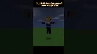My Wi-fi when Cubecraft does an update 💀: #funny #bruh #comedy #minecraft #animation #wifi #mcpe #mc