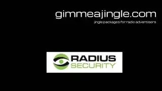 Radius Security Donut