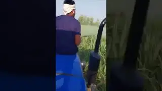 Dal Nagar farm 🚜 #kisan_ekta_jindabad #nofarmersnofood #farmerlife #kisanlife #pff