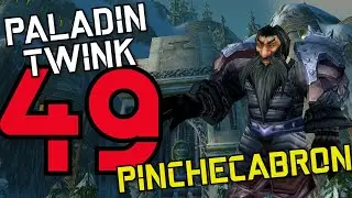 PALADIN TWINK 49, WARSAGES