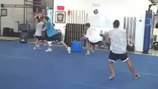 CrossPit Power Ball
