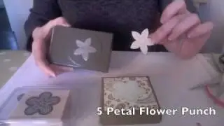 Мастер-класс по изготовлению коробки для пиццы Stampin' Up!